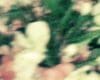 County Bluff | SERIE - 2017-12-03 - Song for jack