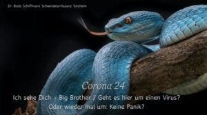 CORONA - Dr. Bodo Schiffmann | SERIE - 2020-04-13 - Corona 24