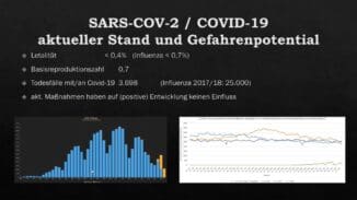 CORONA - Dr. Bodo Schiffmann | SERIE - 2020-04-17 - Corona 29