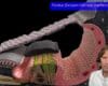 Dr. Bodo Schiffmann | QUANTUM - Medizinische Vorträge - Hilfe bei Tinnitus Teil 1-3
