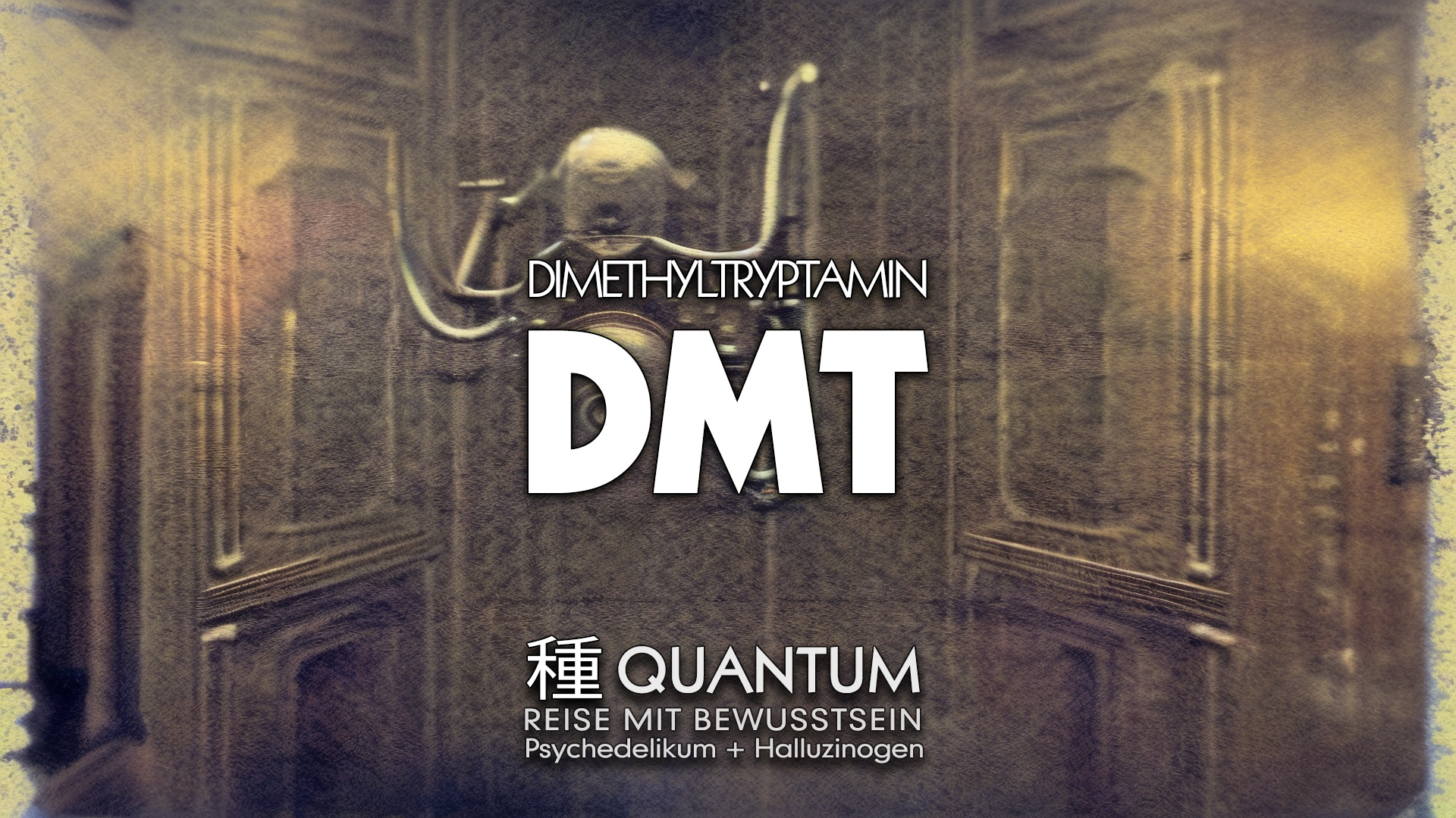 Dimethyltryptamin | DMT