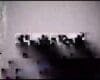 3121534312 | SERIE – 2016-03-16 – 34535352