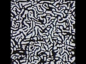 3121534312 | SERIE - 2023-12-25 - 16521235326544312165352