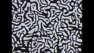 3121534312 | SERIE – 2023-12-25 – 16521235326544312165352
