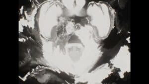 3121534312 | SERIES - 2025-02-22 - 2644652