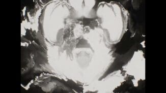 3121534312 | SERIES – 2025-02-22 – 2644652