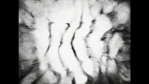 X7Q5A96 | SERIES - 2024-10-14 - 19513920152031205152411514 (Klon 1)