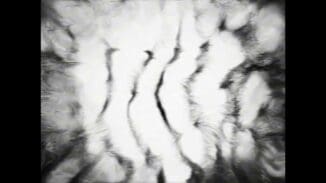 X7Q5A96 | SERIES – 2024-10-14 – 00149283