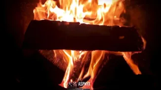 ZEITGEIST Sanktum | SERIES – 2019-10-31 – Samhain on Westgård between night and fire