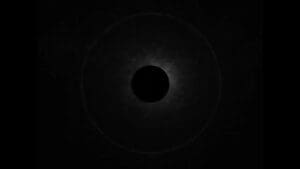 X7Q5A96 | SERIES - 2025-01-01 - 1945160733675106475