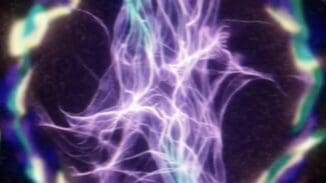 X7Q5A96 | SERIES – 2025-03-17 – 80351101821888