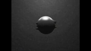 X7Q5A96 | SERIES - 2025-04-17 - 196418352741903826