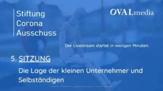 Stiftung Corona-Ausschuss | SITZUNG 5 – Die Lage der kleinen Unternehmer und Selbständigen | 2020-07-30
