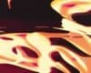3121534312 | SERIES – 2025-08-15 – 16555152604353261505441652312155241524315